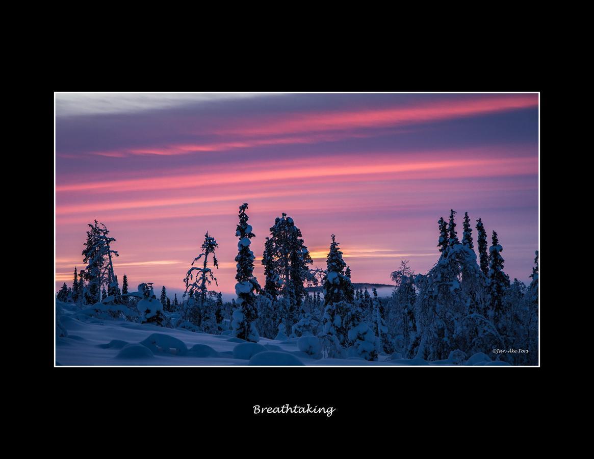 Lannavaara Lodge 외부 사진