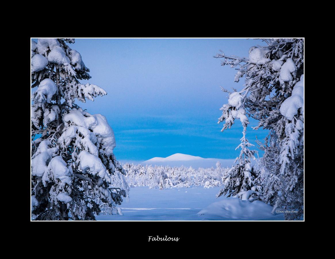 Lannavaara Lodge 외부 사진